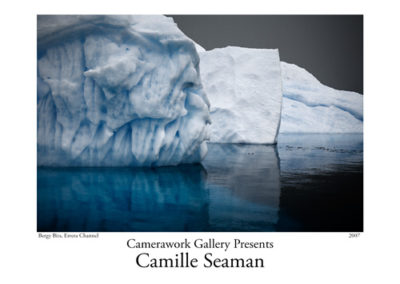 Camille Seaman
